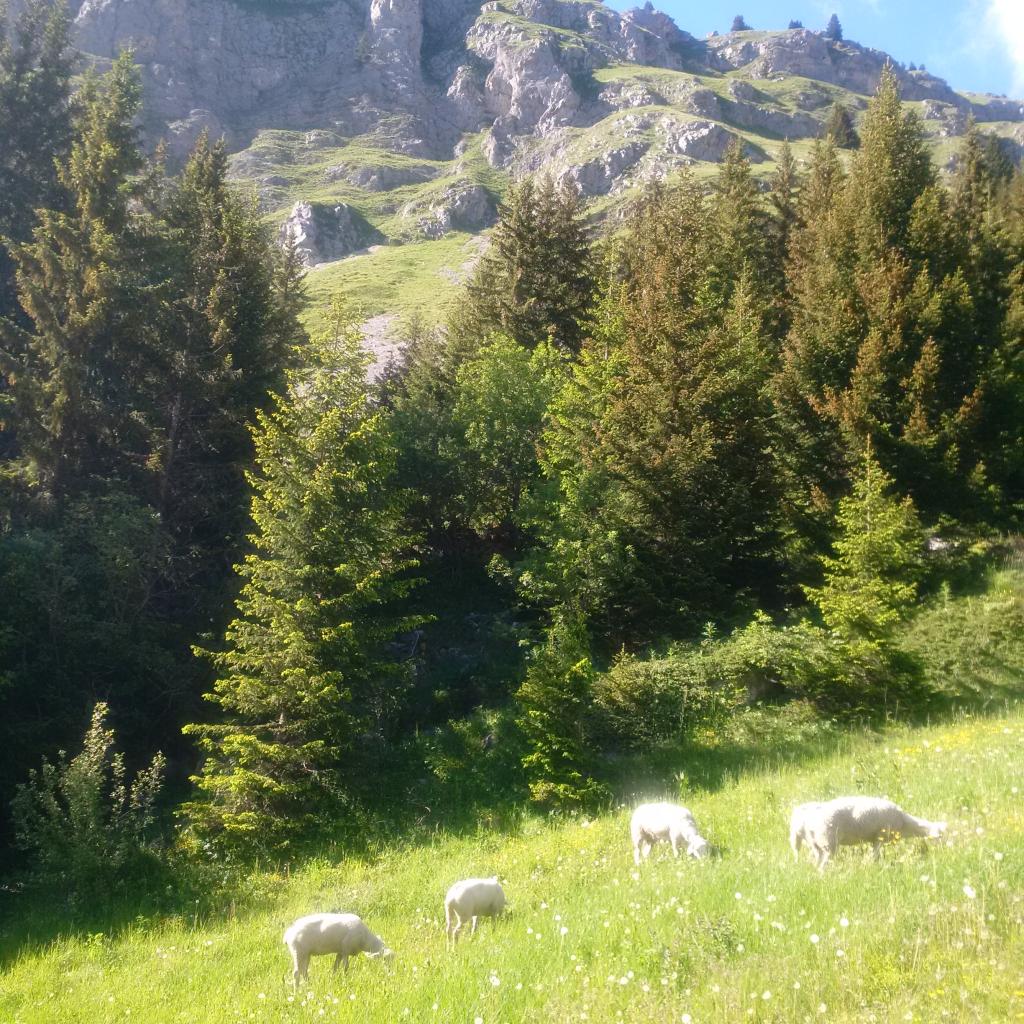 Les gourmandes qui se régalent en montant !